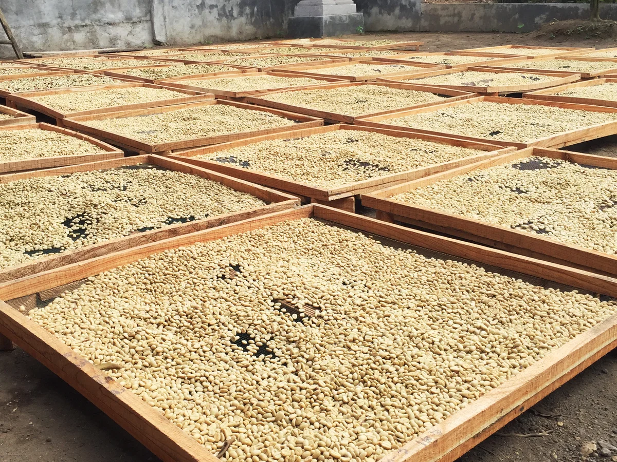 Tahapan proses Diproses Tradisional